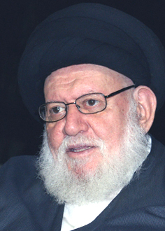 سماحة آية الله السيد علي السيد حسين مكي العاملي
